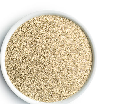 Feed Yeast Market by Product and Geography - Forecast and Analysis 2021-2025